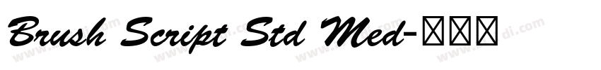 Brush Script Std Med字体转换